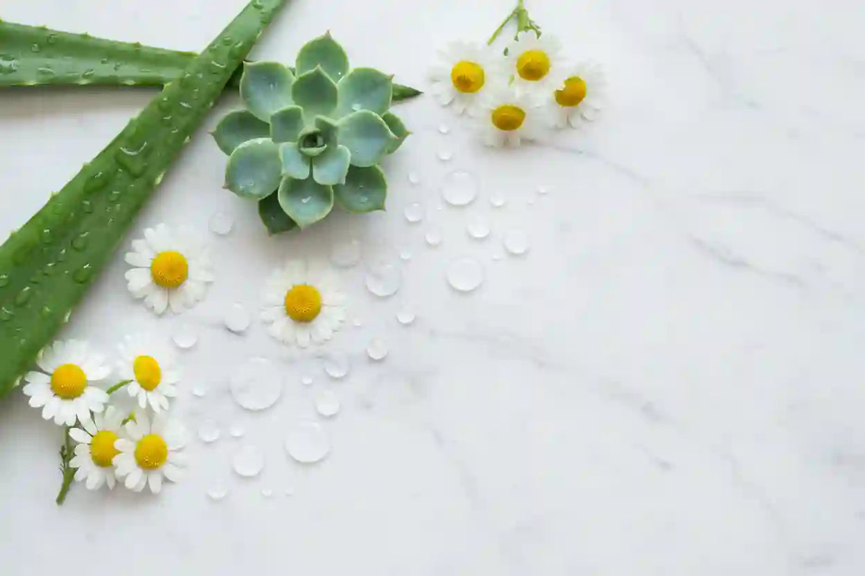 Benefits of Glycerin-Free Lubricants Explained