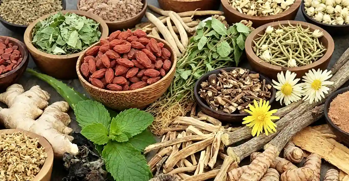 aouresellube ingredients Assorted medicinal herbs and roots in wooden bowls on a dark surface.